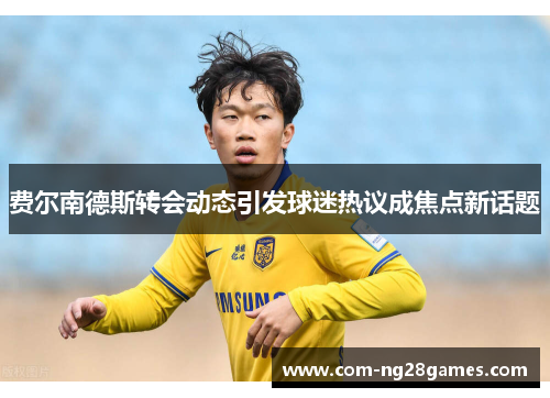 费尔南德斯转会动态引发球迷热议成焦点新话题