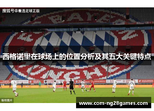 西格诺里在球场上的位置分析及其五大关键特点 西格诺里在球场上的位置分析及其五大关键特点