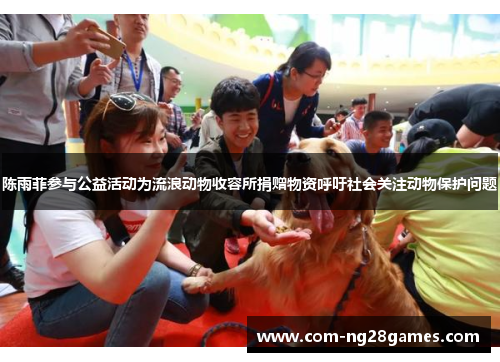 陈雨菲参与公益活动为流浪动物收容所捐赠物资呼吁社会关注动物保护问题 陈雨菲参与公益活动为流浪动物收容所捐赠物资呼吁社会关注动物保护问题