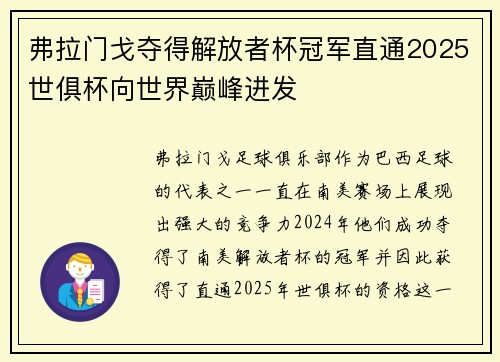 弗拉门戈夺得解放者杯冠军直通2025世俱杯向世界巅峰进发