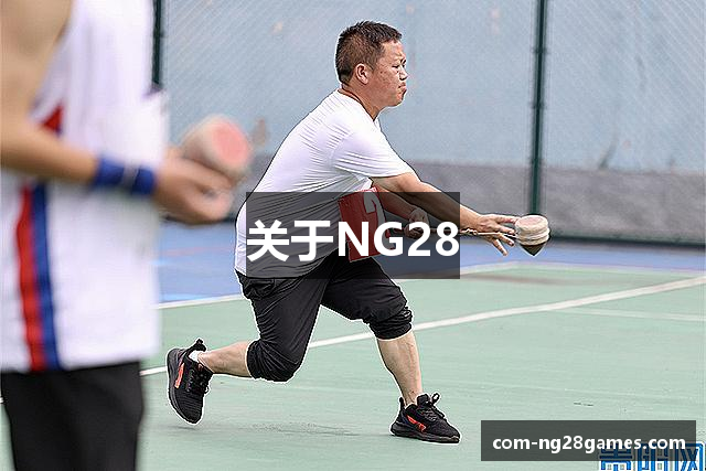 关于NG28